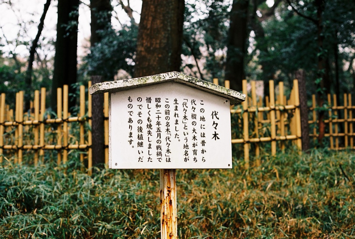 Traditional Japanese garden in Tokyo