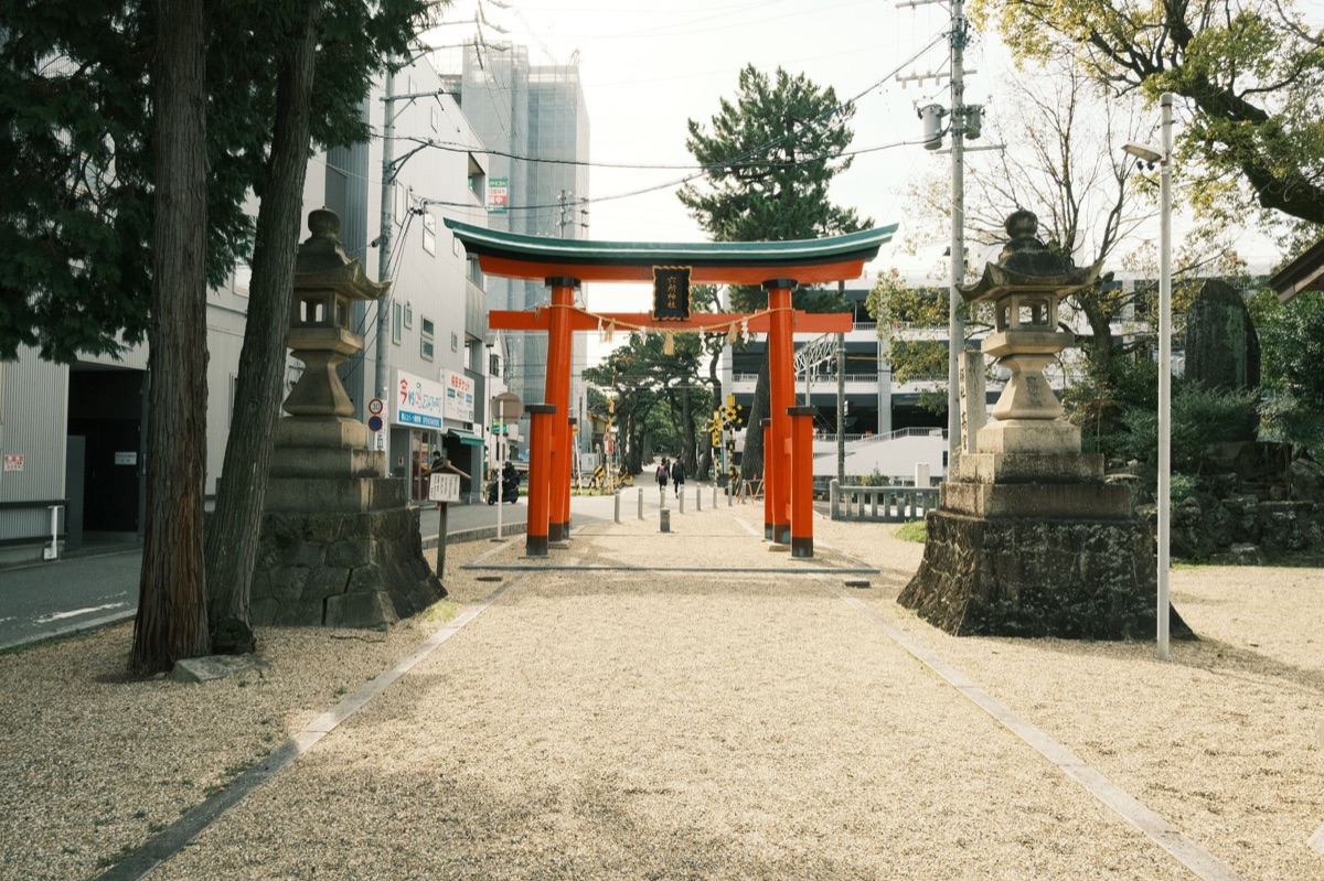 Traditionale Shinto-Torii-Torche mit Steinpfad