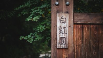 Van stad tot rust: Kies je Japanse uitstapje na 1 uur reis