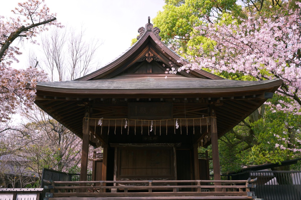 traditionele japanse heilige plek in tokyo's buurt