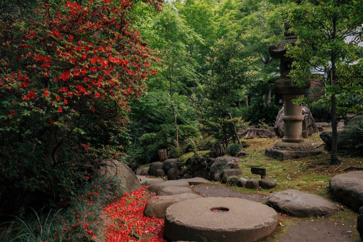 jardim japonês nos arredores de tokyo