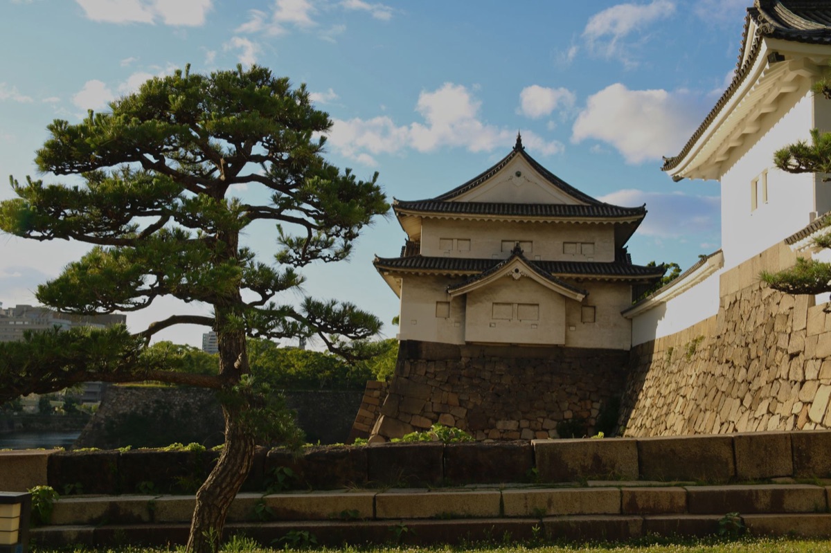 Tradition in Tokyo: Japanese House with Paper Slides and Bonsai Tree