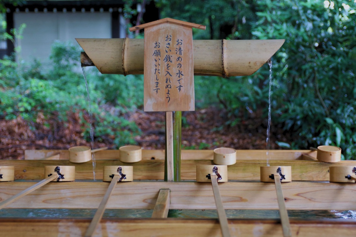 jardín de templo japonés