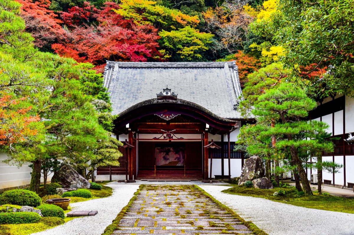 giardino shinto a Tokyo