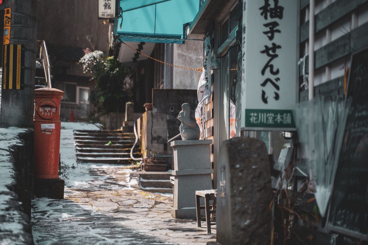 Hachiko-Statue in Shibuya, Tokio