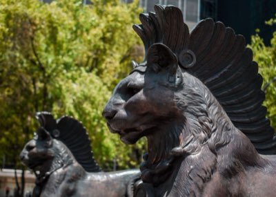 Shibuya Trasformata: Hachiko, Costante nel Cambiamento Urbano