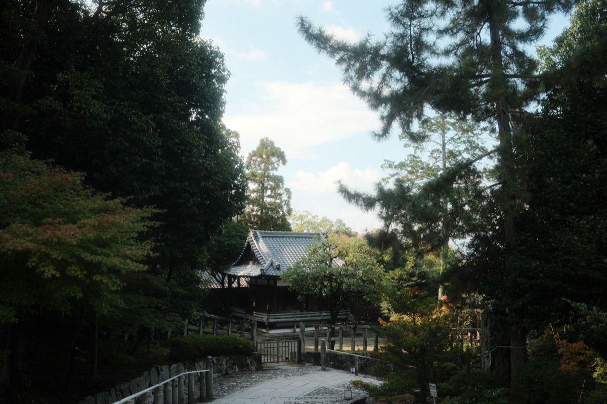 jardim shinto com caminho de pedra