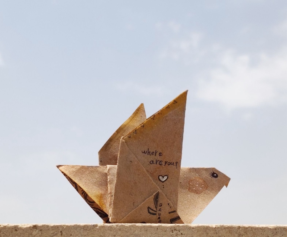 suzuki kosei origami