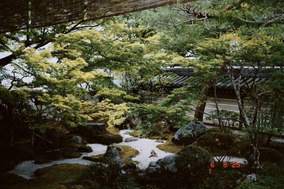 jardin japonais traditionnel avec un chemin de pierre