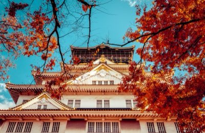東京宅文化深度解析：從觀光到在地生活方式的轉變完整指南