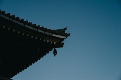Dominando o Onsen: Como Ser um Viajante Respeitoso em Tóquio