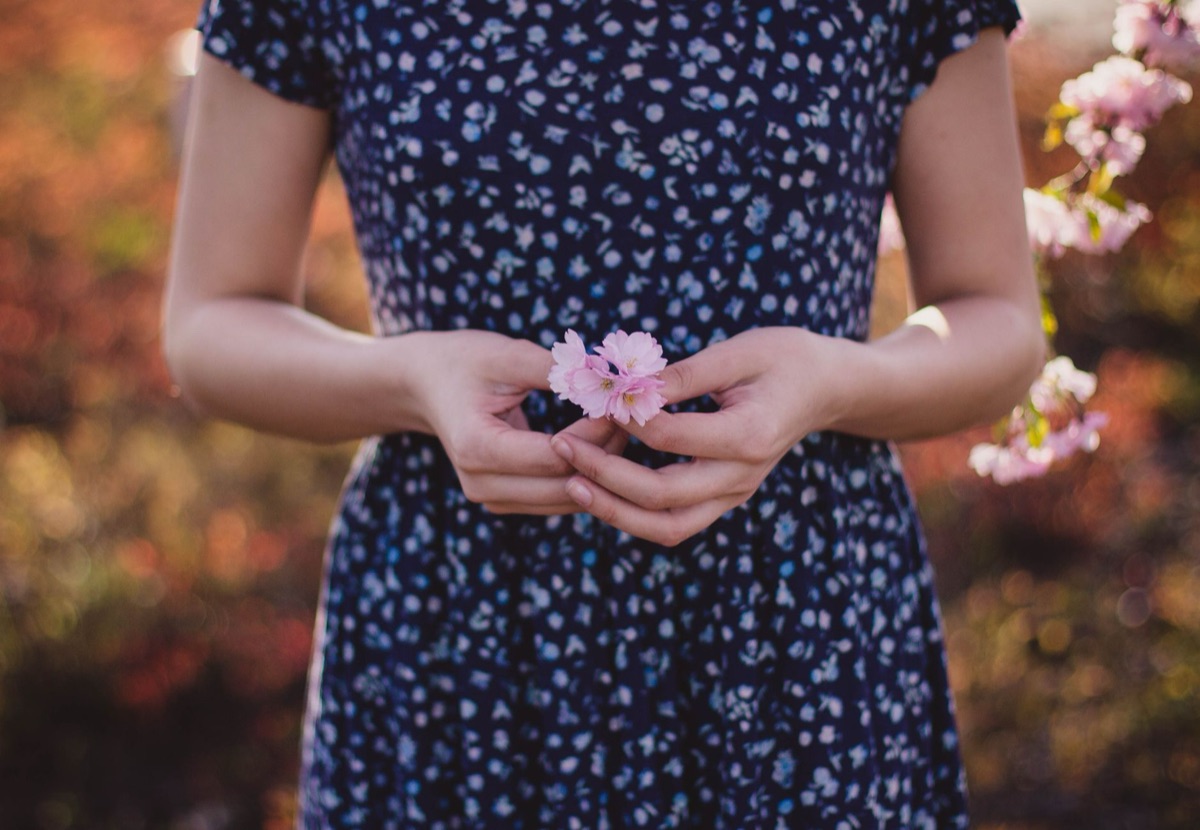 Local person holding cherry blossom in hands at Tokyo shrine