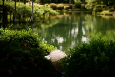 Ciliegi in fiore: come vivere l'essenza giapponese di Tokyo