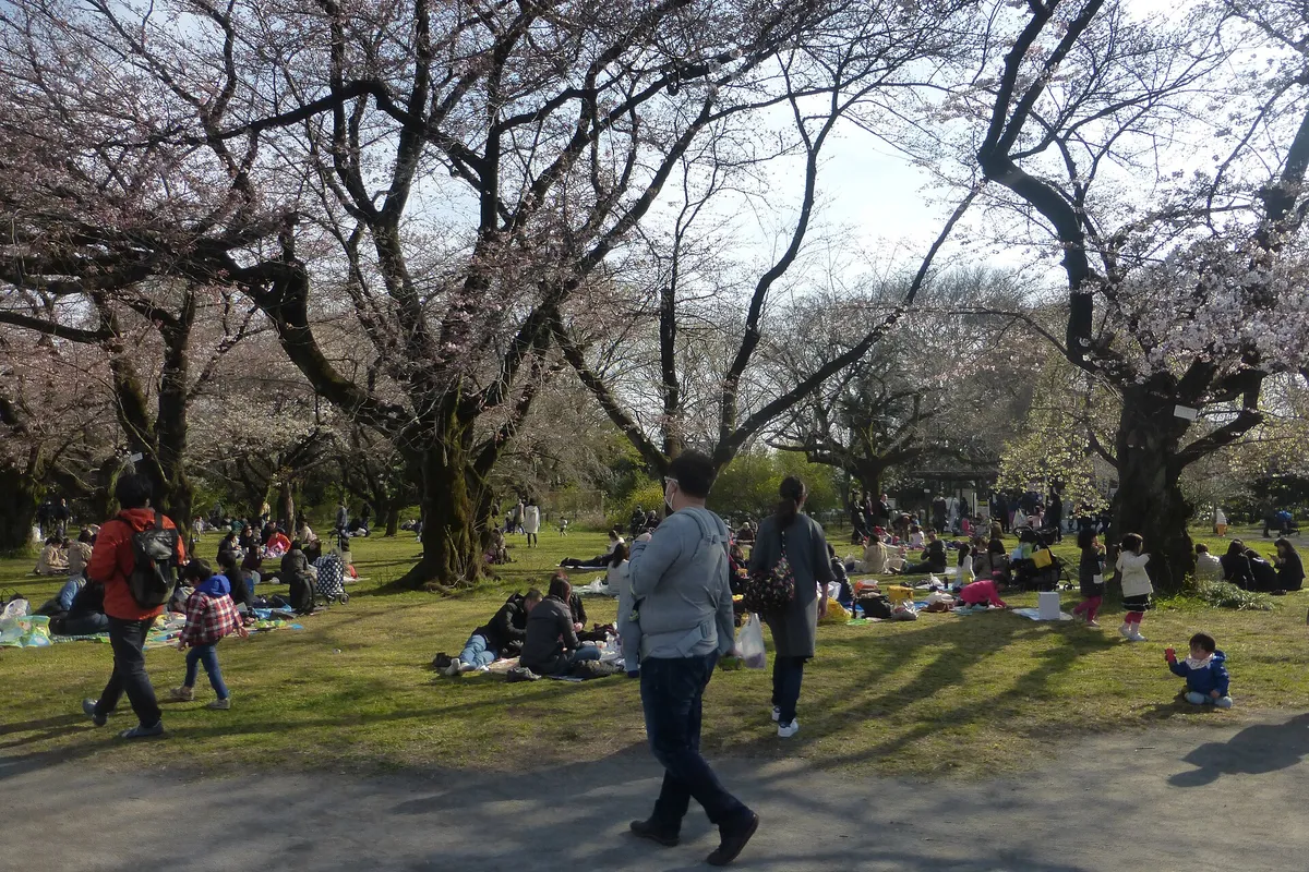 小川植物園原名 東京大學大學院理學系研究科附屬植物園 附屬機構 東京大學研究生院理學系研究科 位置 総合研究一號館 內容 東京都文京區