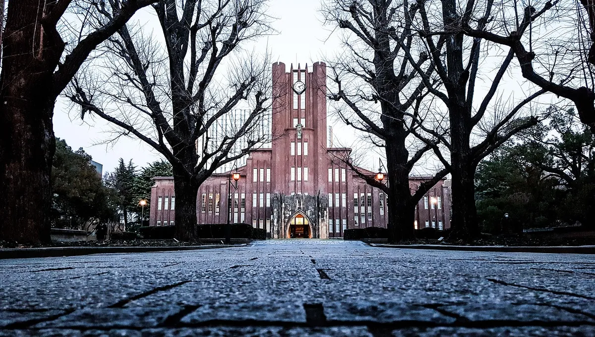 university, japan, todai, tokyo, autumn, silhouette trees branches, university, university, university, university, university, tokyo