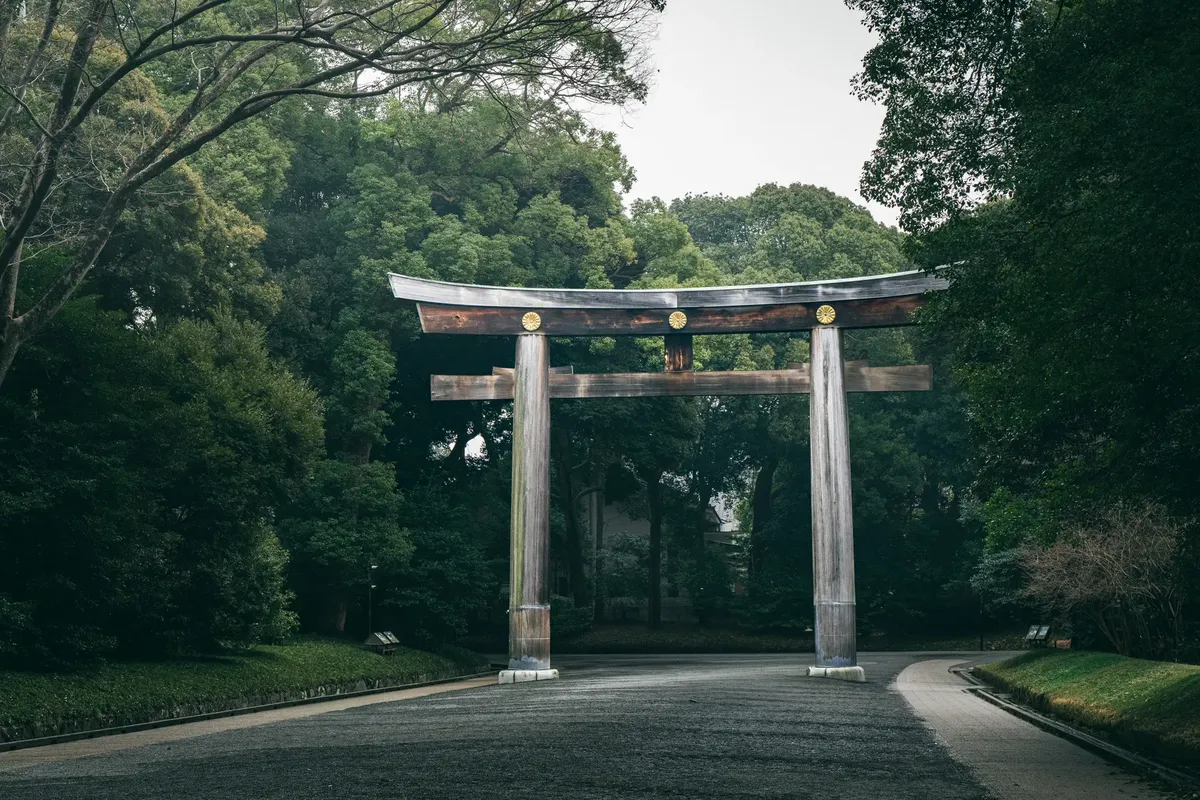 A tranquil scene of the Meiji Jingu Torii gate surrounded by lush green trees in Tokyo, Japan.